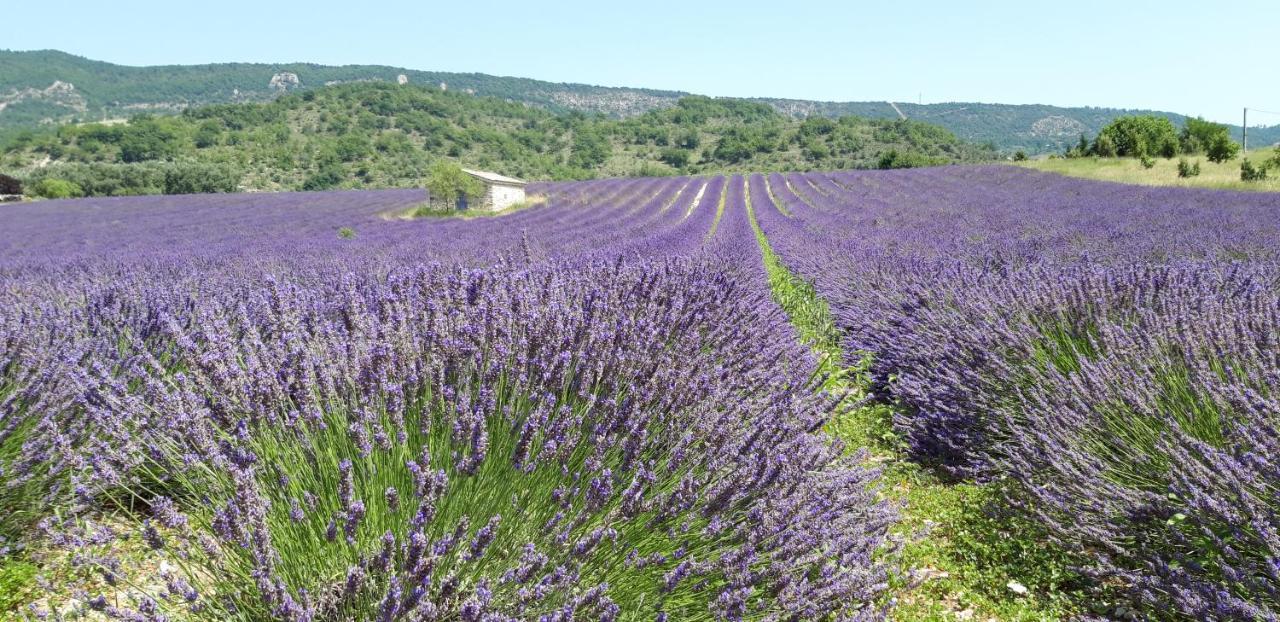 Gites Les Costoliers Châteauneuf-Miravail 外观 照片